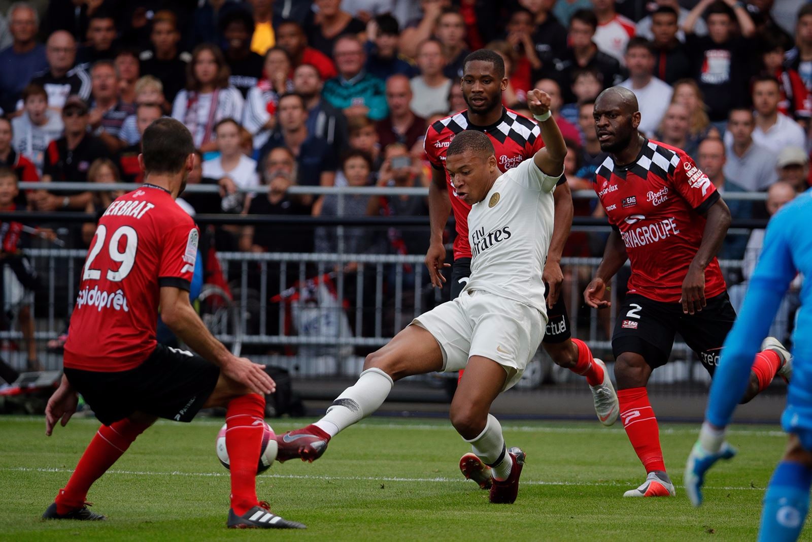 胡麻油加工设备如何维护？